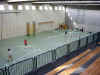 palestra.jpg (92321 byte)